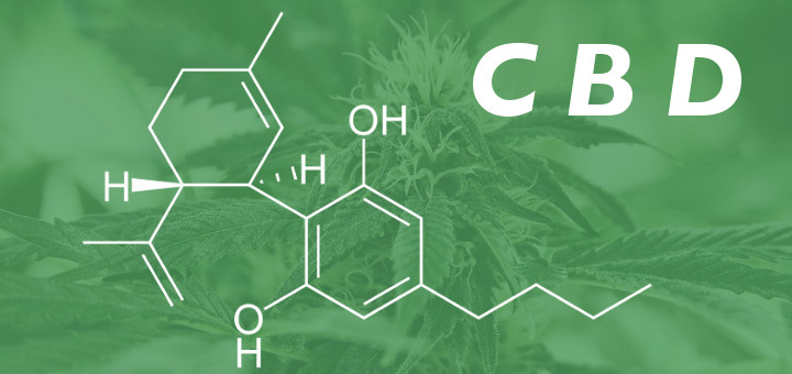 cbd-what-is-it
