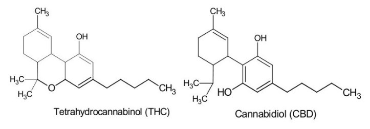 cbdmolecule